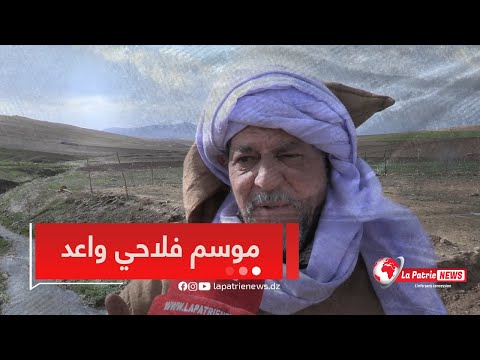 بعد غيث طال انتظاره فلاحون عين الدفلى يستبشرون بموسم فلاحي واعد