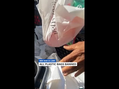 New California Laws Going Into Effect In 2026 Impact Tortillas Streaming Services And More 