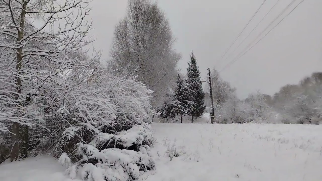 Утро после снегопада