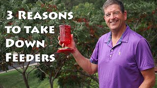 3 Reasons to Take Down Hummingbird Feeders by midOctober