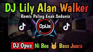 DJ Opus Lily Alan Walker 