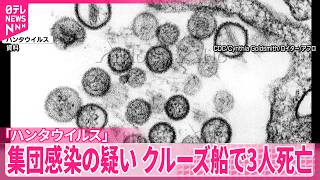 【ハンタウイルス】大西洋を航行中のクルーズ船で集団感染の疑い  3人死亡