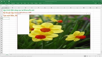 Lập trình VBA Resize Userform cùng với các controls trong BSAC