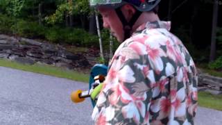 Abec11 Retro Bertz Review