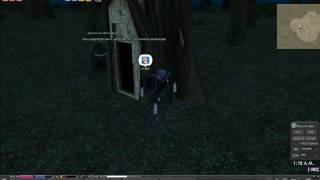 Mabinogi - dancing bear n horse.