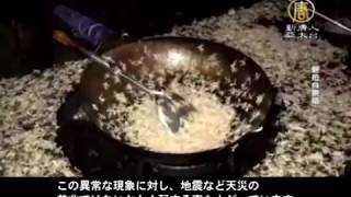 億万匹の蛾が湖南省に侵入 交通にも影響