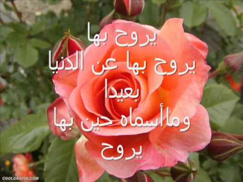 كتاب الله مشاري العفاسي 