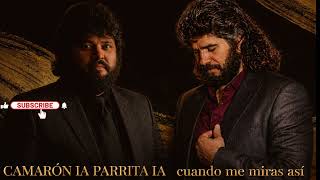 CAMARON IA PARRTITA IA  cuando me miras a si