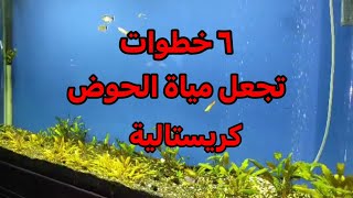 ٦ خطوات تجعل مياة الحوض كريستاليه