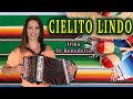 Cielito lindo valzer irma di benedetto  organetto abruzzese accordion