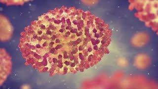 Bay Area-based company can help test for monkeypox through blood testing