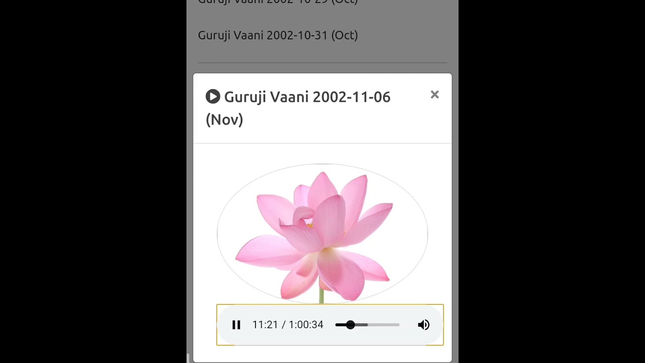 ( 6 - 11 - 2002 ) PBV