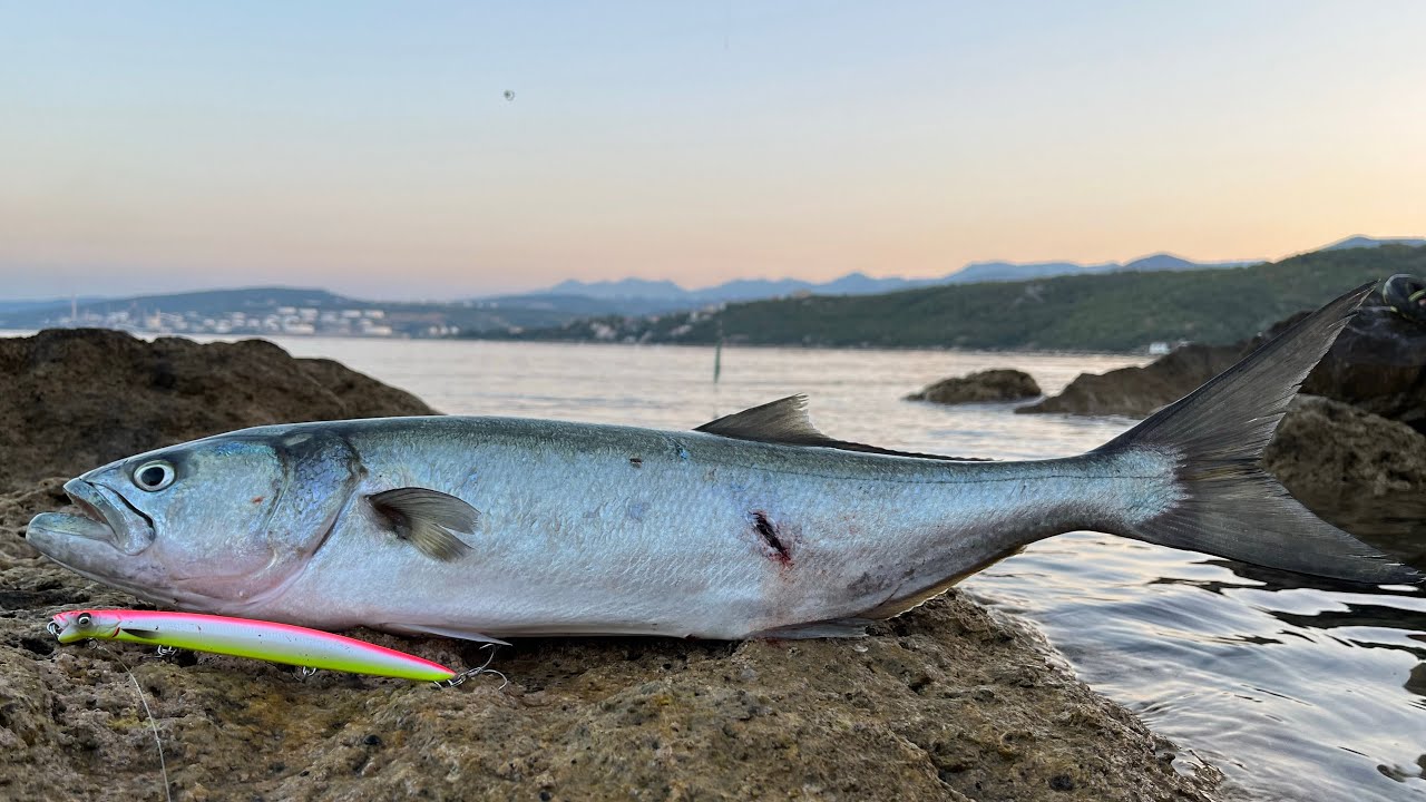Поужинайте во время отпуска в ХОРВАТИИ!