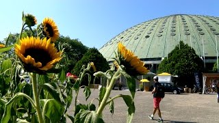 Cidademais Nos Jardins Do Palcio De Cristal