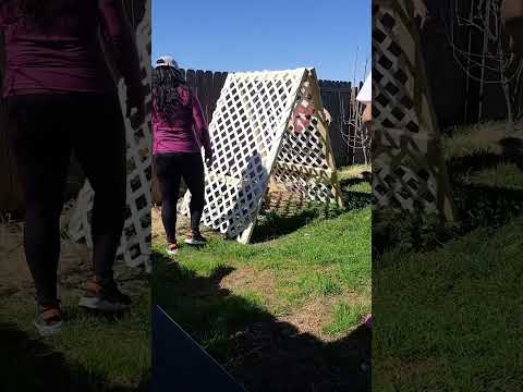 Video: Making A Cucumber Fence: Growing Cucumbers On A Fence