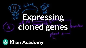 Expressing cloned genes | Biomolecules | MCAT | Khan Academy
