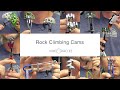 Rock Climbing Cams
