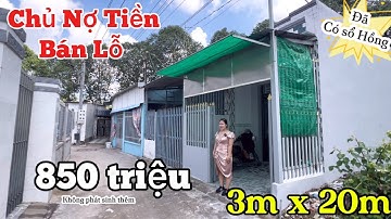 Chủ Cần Tiền bán gấp căn nhà cấp 4 có thể Kinh Doanh được🥰đường thông ôtô đến cửa nhà Gần Bình Chánh