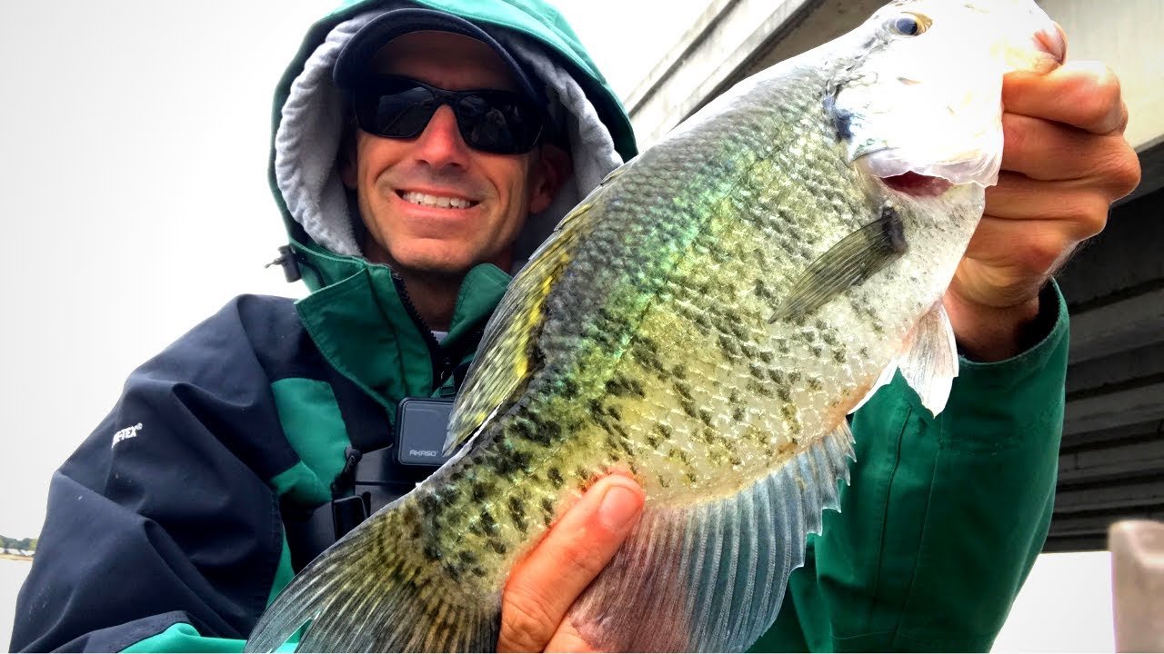 October crappie Clearance