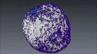 Life and death of a single catalytic cracking particle