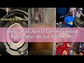 Avis sur la Juilist Centrifugeuse Extracteur de Jus 600W, Acier Inox 304, Fruits et Légumes, Large B
