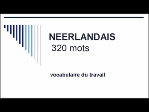 Vidéo: Palais Néerlandais Pour Les Travailleurs