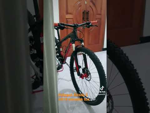 Polygon Xtrada 5