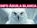 ๐ฅTRUMP TILDA A MADURO DE โHIJO DE PUT@โ๐ฅ