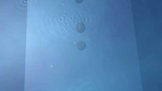 water ripple effect in maya