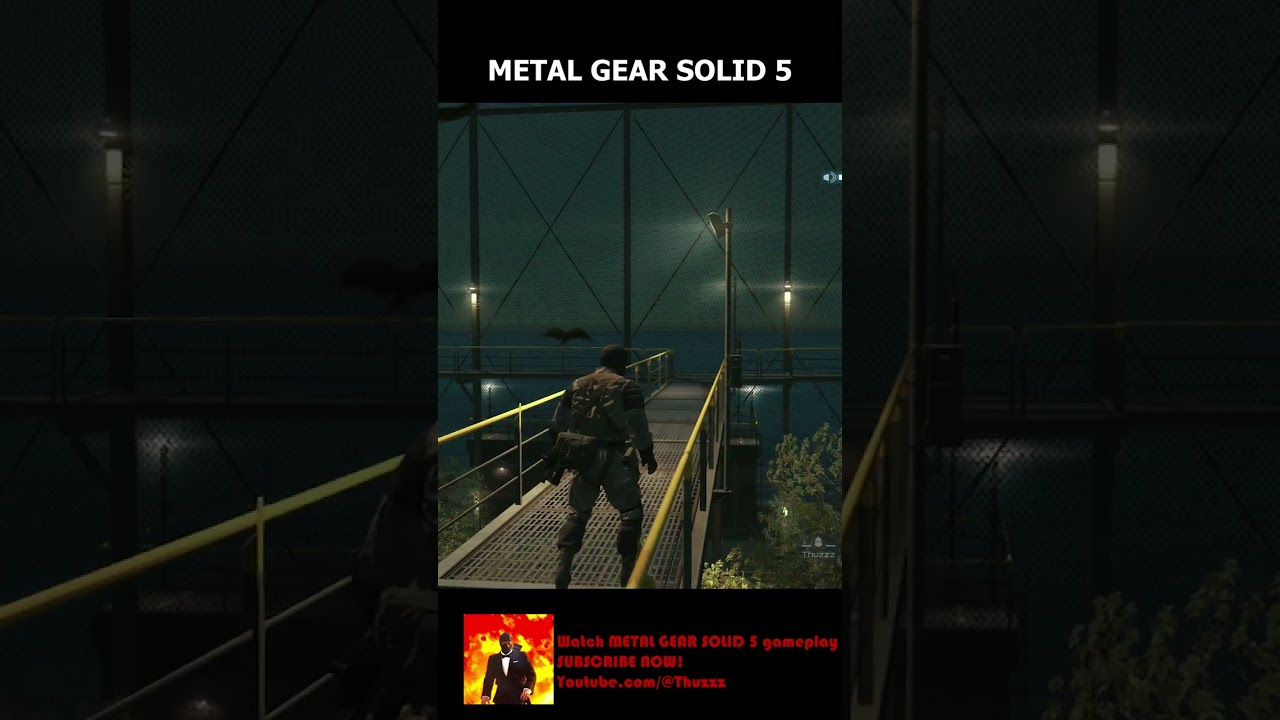 Birds Reacting to a Cassette Tape 😯 #mgs5