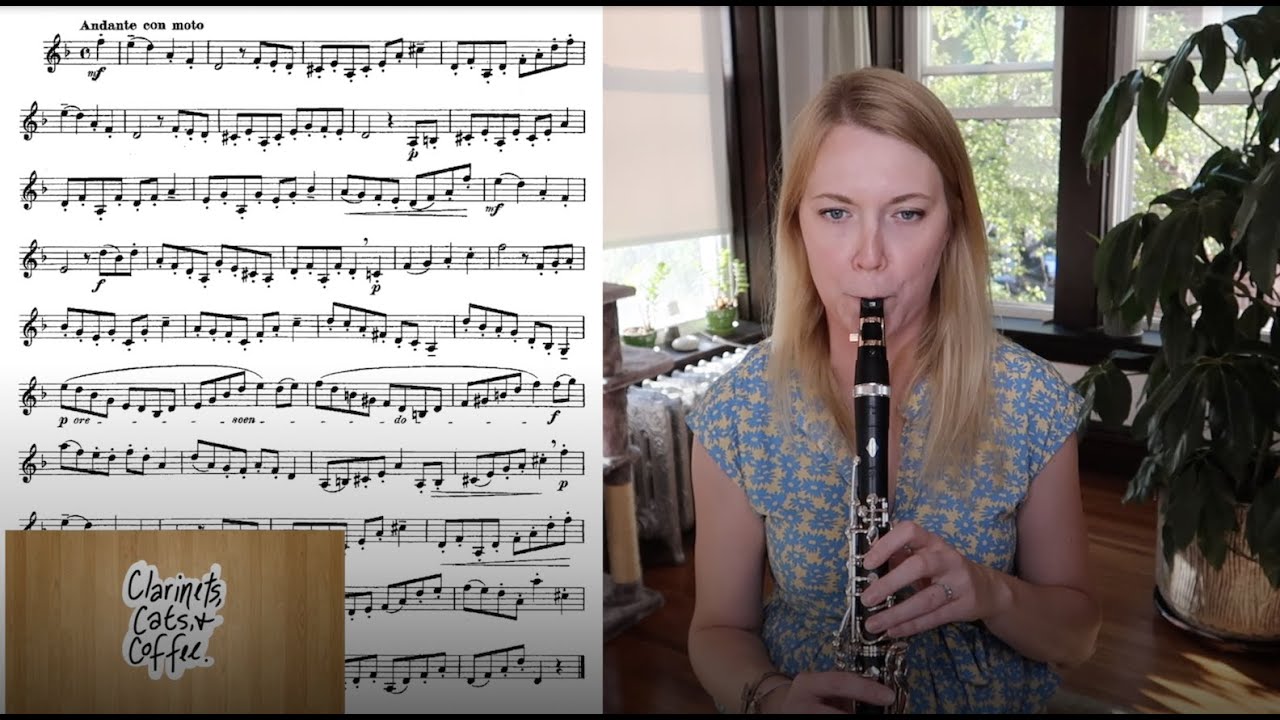 D Minor Etude for Staccato and Keeping a Steady Internal Tempo