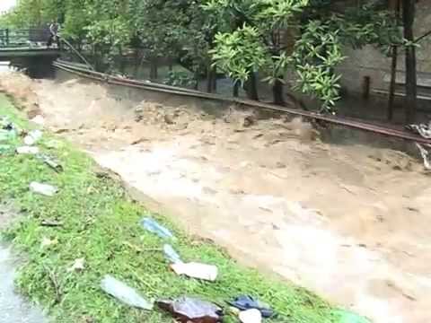 სტიქია სენაკში - 2013 წელი (არქივი)