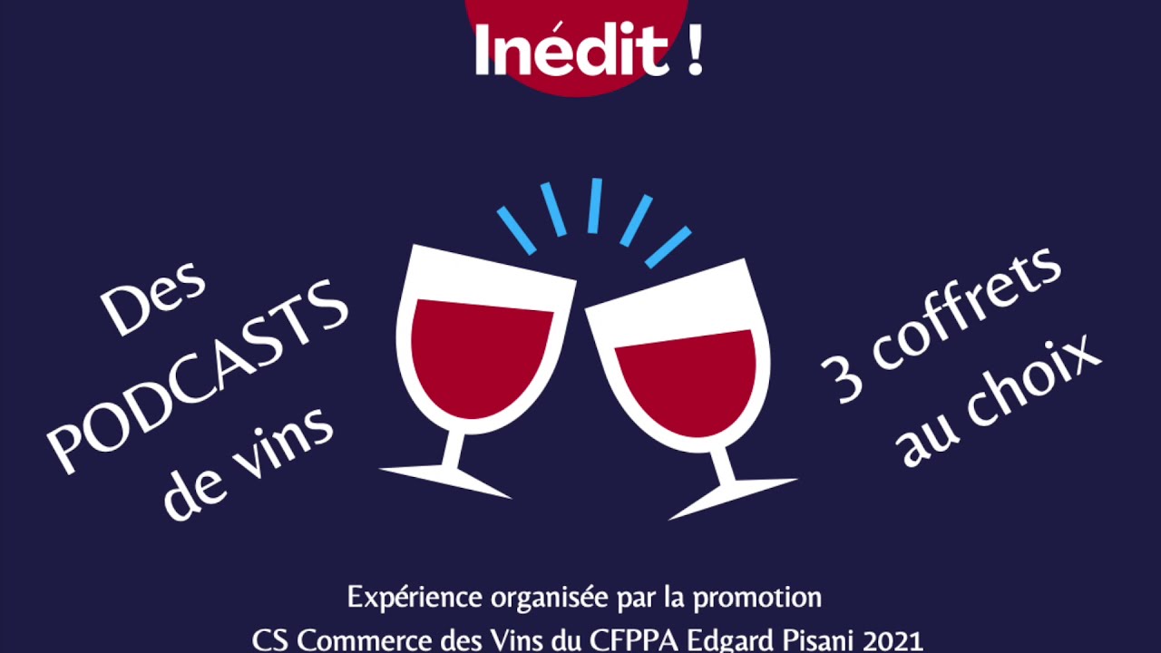 VinOdyssée #1 "Jean-Luc Viaud nous parle de son muscadet Fleur de Panloup"