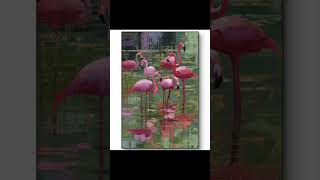 #art #modernart #impasto #texturedart #surrealart #artwithmeaning #visualmetaphor #womanart