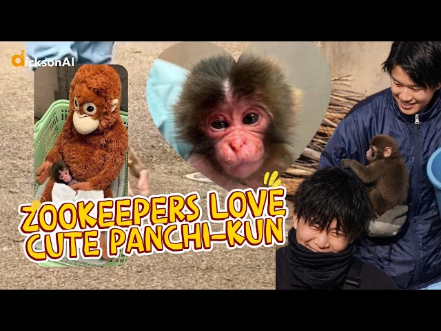 Zookeepers love Cute Panchi-kun - YouTube