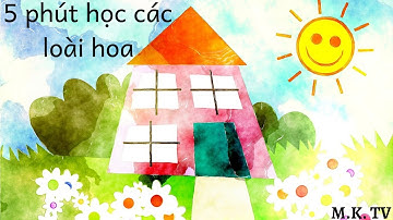 Nằm lòng các TỪ VỰNG CÁC LOÀI HOA bằng tiếng Anh quen thuộc sau 5 phút | M.K. TV