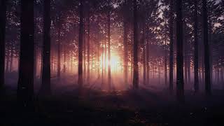 dawn always comes // ambient mix