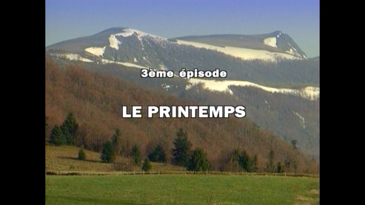 CHRONIQUE DE LA FÔRET DES VOSGES 3/4 : LE PRINTEMPS (1995)