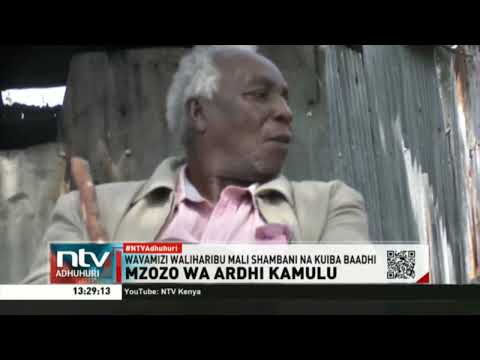 Wavamizi Waharibu Mali Shambani Kamulu Na Kuiba Baadhi Ya Mazao