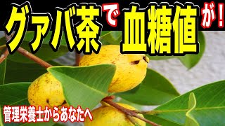 【糖尿病予防】「グァバ茶で血糖値が・・！！」糖尿病予防が期待できる飲み物５選！！管理栄養士からあなたへ！【 Mai's TV】