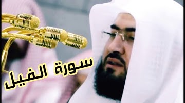 سورة الفيل الشيخ بندر بليلة