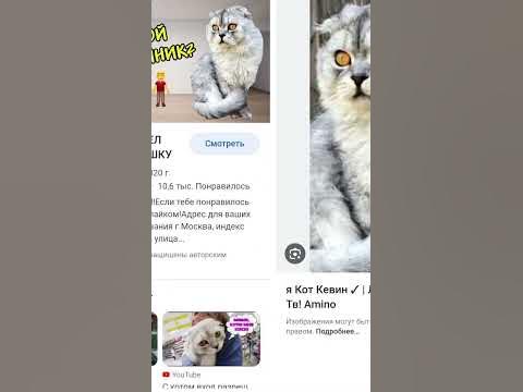 лепота ТВ. - YouTube