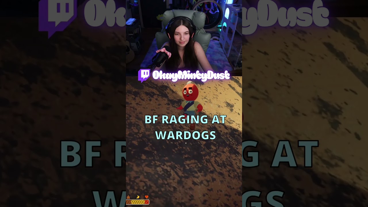 #peak #wardogs #gaming #streamer #funnymoment #ragequit
