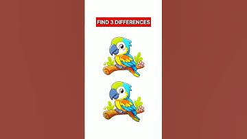 Find 3 Differences #89