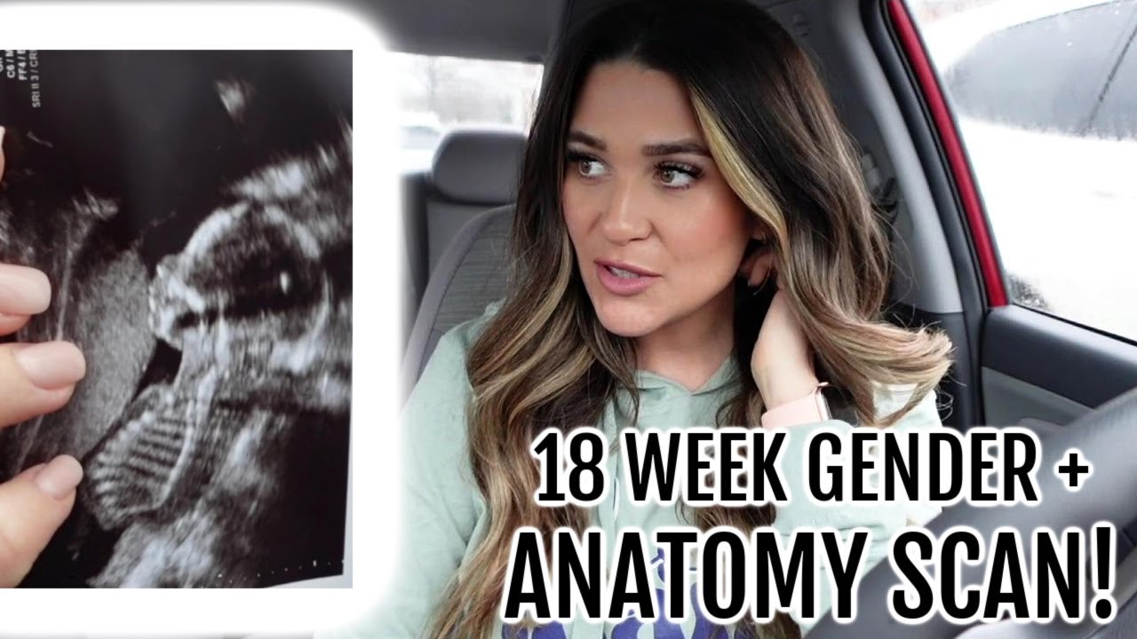 FINDING OUT IF EARLY SNEAK PEEK RESULTS WERE ACCURATE!!! 18 WEEK GENDER