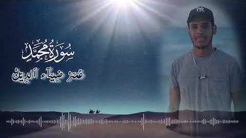 سورة محمد [عمر ضياء الدين]