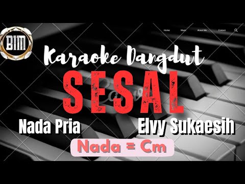SESAL ( Elvy Sukaesih ) Karaoke Nada Pria