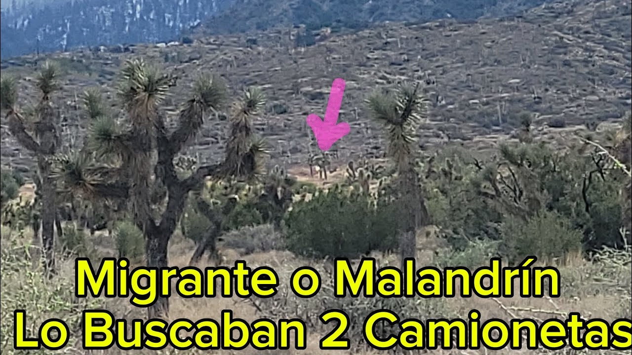 Migrante O Persona Mala Caminando En El Desierto Lo Buscaban 2 Camionetas Y Cuatrimoto 