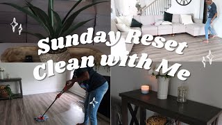 Spring Cleaning| Living Room #deepcleaningvlog  | #sundayreset #cleaningtips #2024