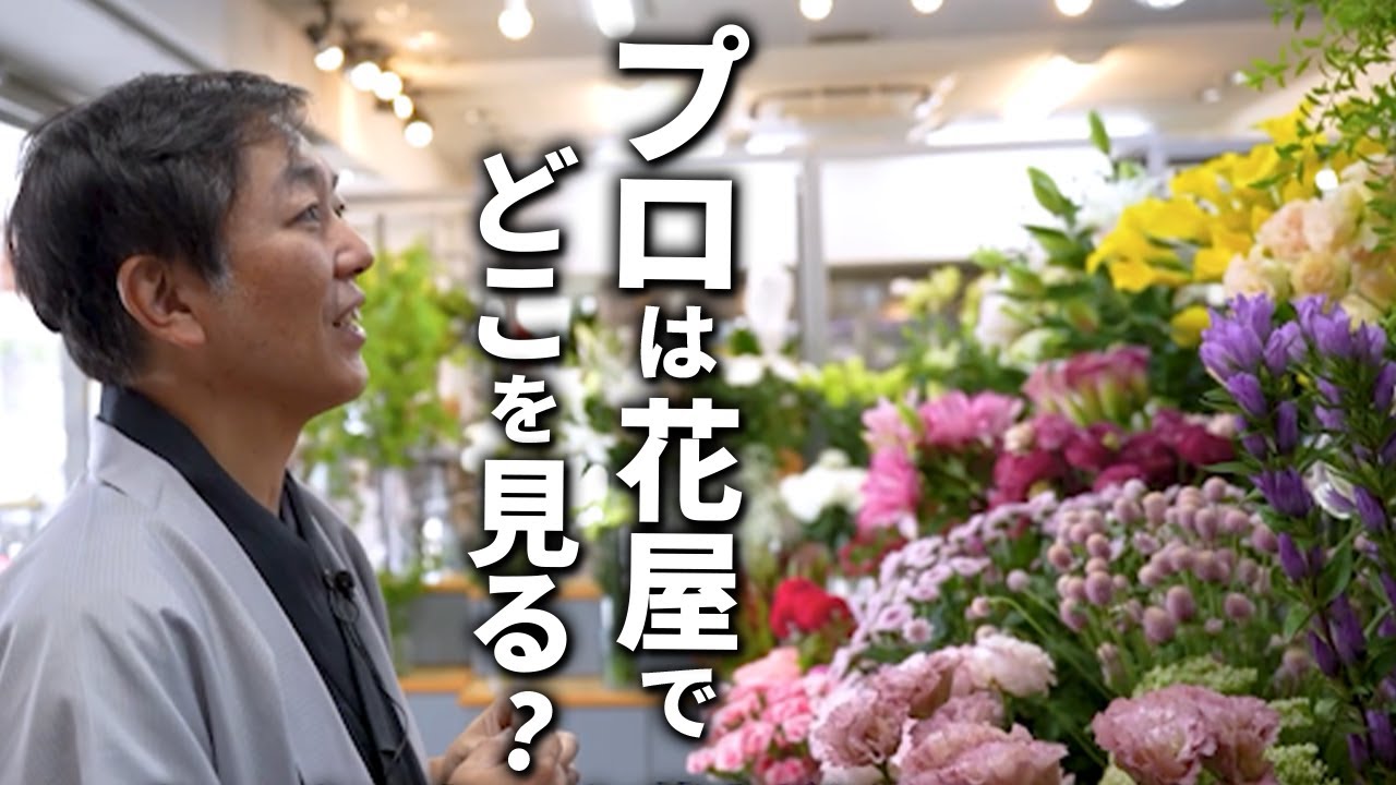 【生け花用】花屋での買い物のコツをプロが解説！